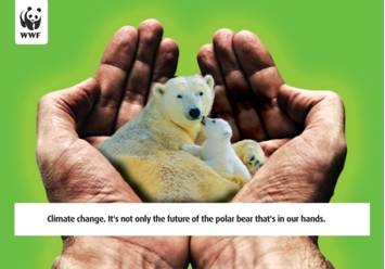 WWF
