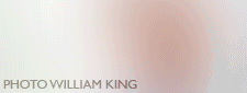 William King Photography - Bristol 0117 941 1600