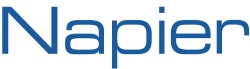 napierb2b.com